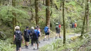 ルートバーントラックロッジ泊ガイド付きツアー