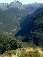 アイリスバーンハットまでの下りのトラック