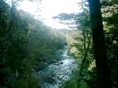 アイリスバーン沿いのトラック