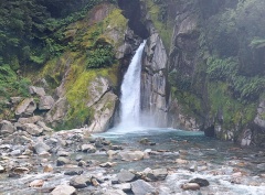 ジャイアントゲート・フォールス