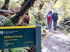 ミルフォードトラック個人ウォーク