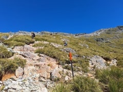 タソック生い茂る中の岩場の登り道