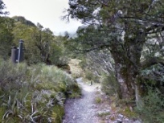 イアーランドフォールスへのトラック